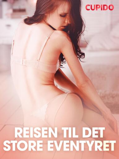 Portada del libro «Reisen til det store eventyret - erotiske noveller», de Cupido