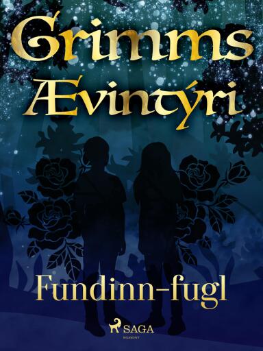 Portada del libro «Fundinn-fugl», de Grimmsbræður