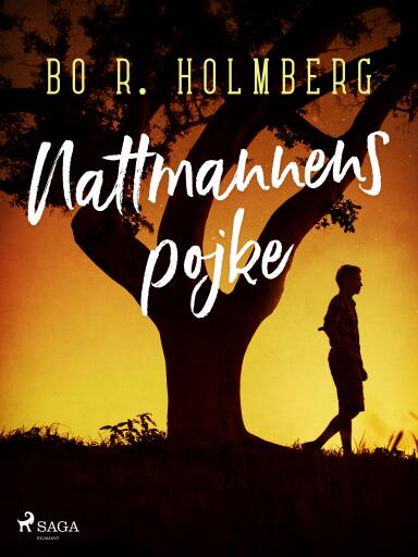 Portada del libro «Nattmannens pojke», de Bo R. Holmberg