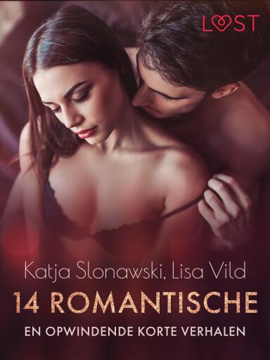 Portada del libro «14 romantische en opwindende korte verhalen - een erotische verzameling», de Lisa Vild, Katja Slonawski