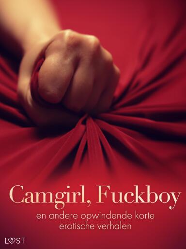 Portada del libro «Camgirl, Fuckboy en andere opwindende korte erotische verhalen»