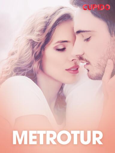 Portada del libro «Metrotur – erotiske noveller», de Cupido