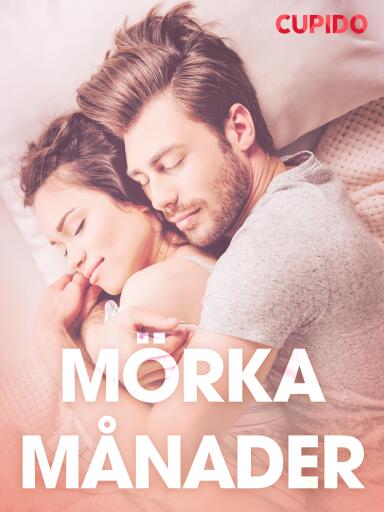 Portada del libro «Mörka månader - erotiska noveller», de Cupido