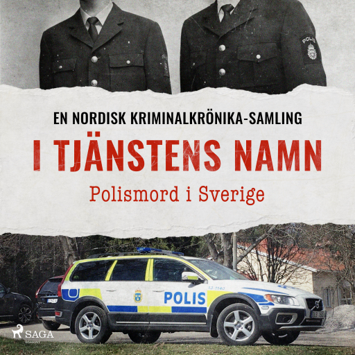 I tjänstens namn – Polismord i Sverige