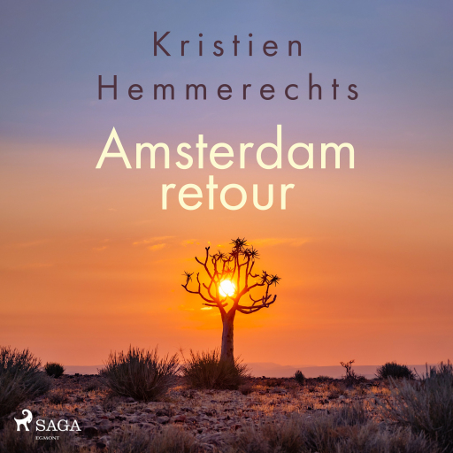 Portada del audiolibro «Amsterdam retour», de Kristien Hemmerechts