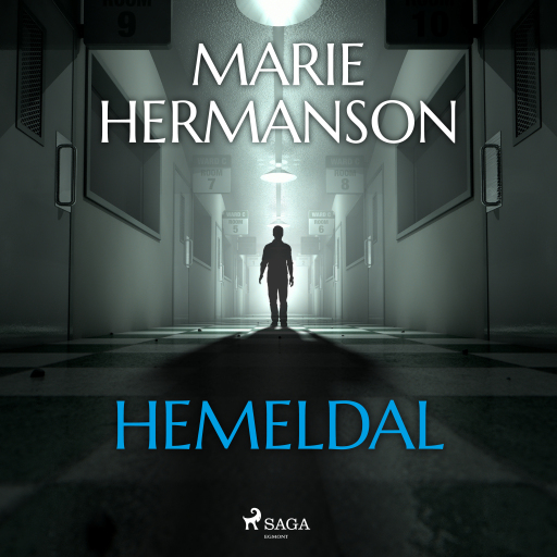 Portada del audiolibro «Hemeldal», de Marie Hermanson