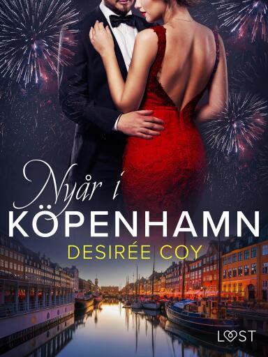 Nyår i Köpenhamn - erotisk romance