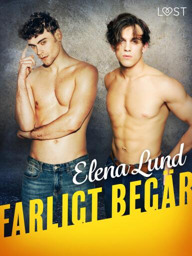 Portada del libro «Farligt begär - erotisk novell»