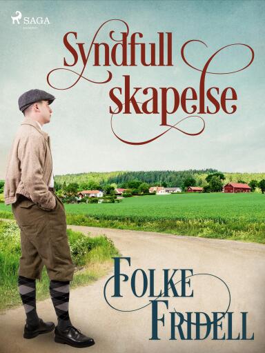 Portada del libro «Syndfull skapelse», de Folke Fridell