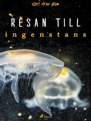Portada del libro «Resan till ingenstans», de Karl Arne Blom