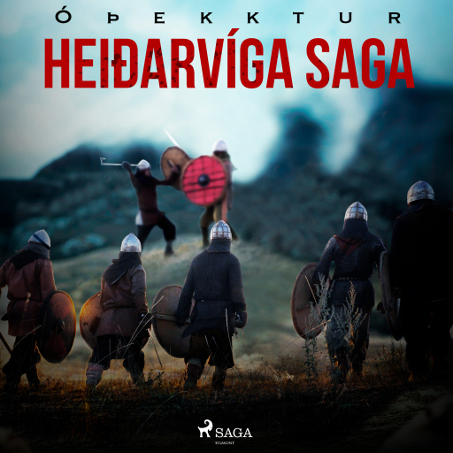 Portada del audiolibro «Heiðarvíga saga», de Óþekktur