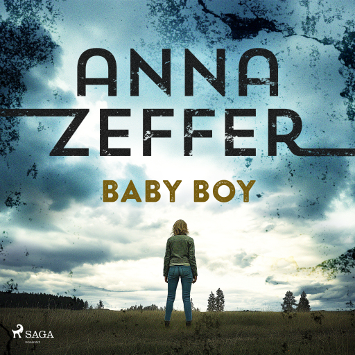 Portada del audiolibro «Baby Boy», de Anna Zeffer