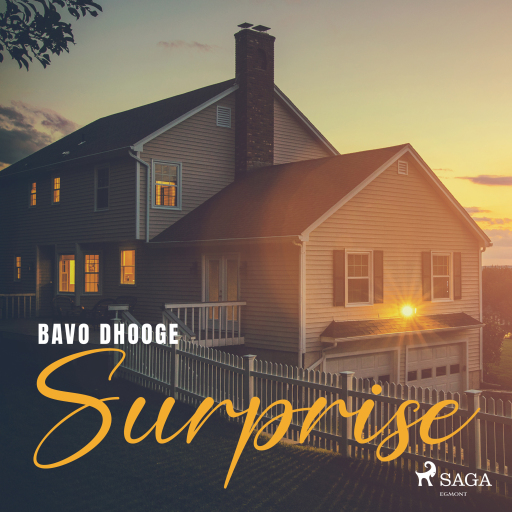 Portada del audiolibro «Surprise», de Bavo Dhooge