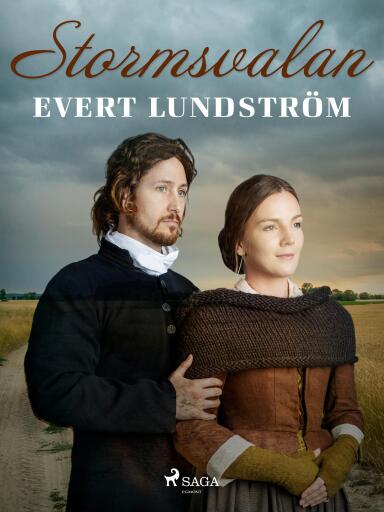 Portada del libro «Stormsvalan», de Evert Lundström