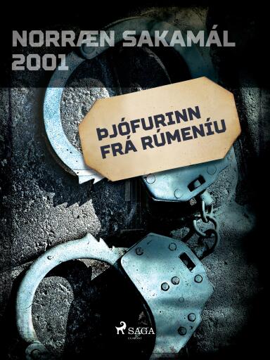 Portada del libro «Þjófurinn frá Rúmeníu», de Forfattere Diverse
