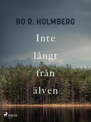 Portada del libro «Inte långt från älven»