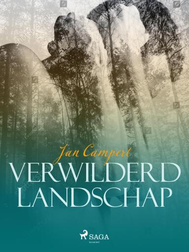 Portada del libro «Verwilderd landschap», de Jan Campert