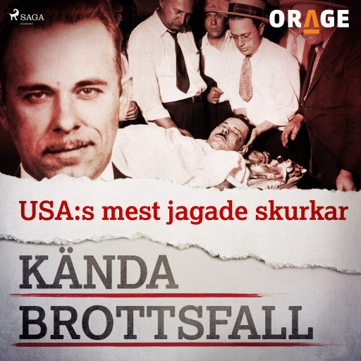 USA:s mest jagade skurkar