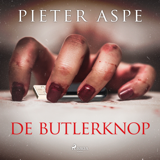 Portada del audiolibro «De butlerknop», de Pieter Aspe