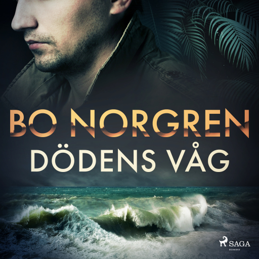 Portada del audiolibro «Dödens våg», de Bo Norgren