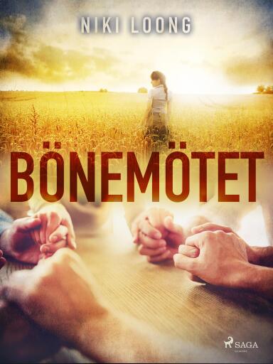 Portada del libro «Bönemötet», de Niki Loong