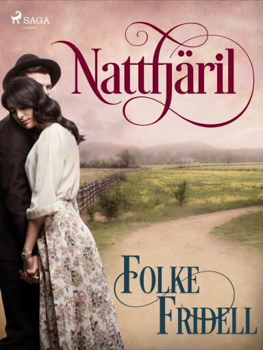 Portada del libro «Nattfjäril», de Folke Fridell