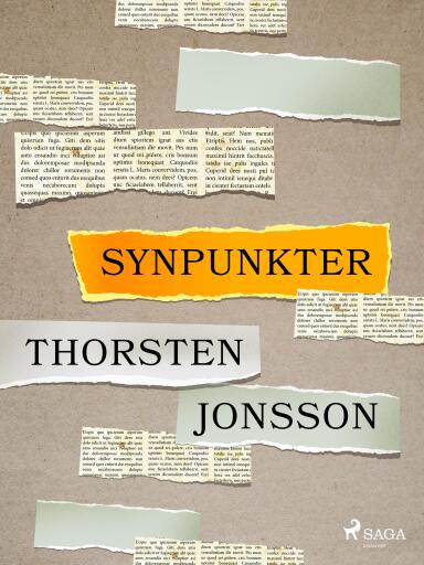 Portada del libro «Synpunkter», de Thorsten Jonsson
