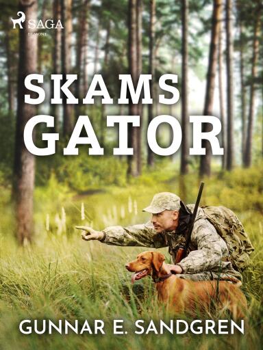 Portada del libro «Skams gator», de Gunnar E. Sandgren
