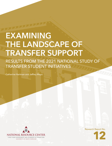 Examining the Landscape of Transfer Support
