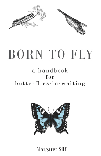 Portada del libro «Born to Fly», de Margaret Silf