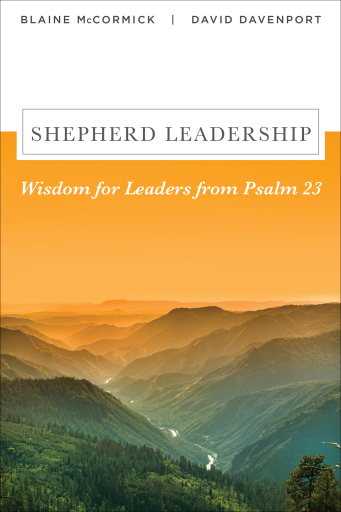 Shepherd Leadership