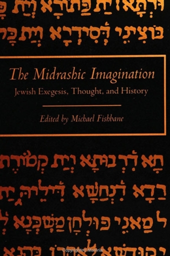 Portada del libro «The Midrashic Imagination»