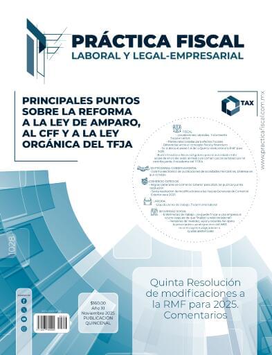 Practica Fiscal Laboral y Legal - Empresarial 1028 2da de noviembre de 2025