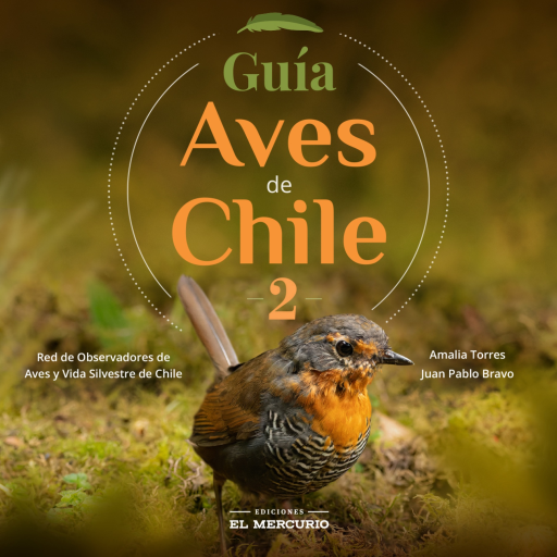 Guías Aves de Chile 2