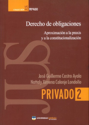 Derecho de obligaciones: Aproximación a la praxis y a la constitucionalización