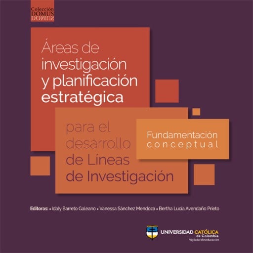 Áreas de investigación y planificación estratégica para el desarrollo de líneas de investigación.Fundamentación conceptual