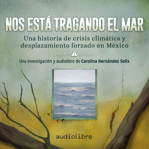 Nos está tragando el mar. Una historia de crisis climática y desplazamiento forzado en México
