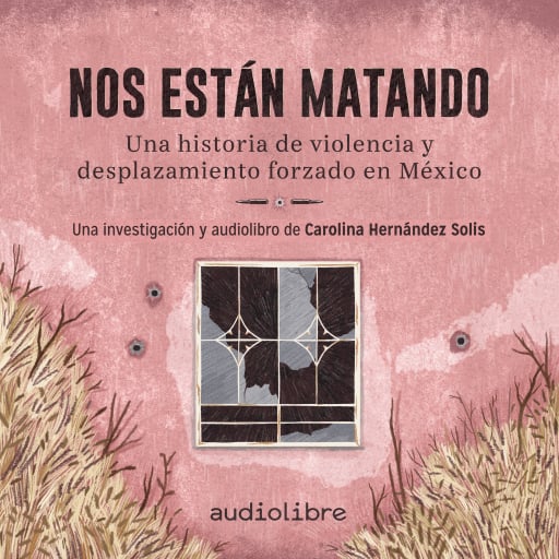 Nos están matando. Una historia de violencia y desplazamiento forzado en México