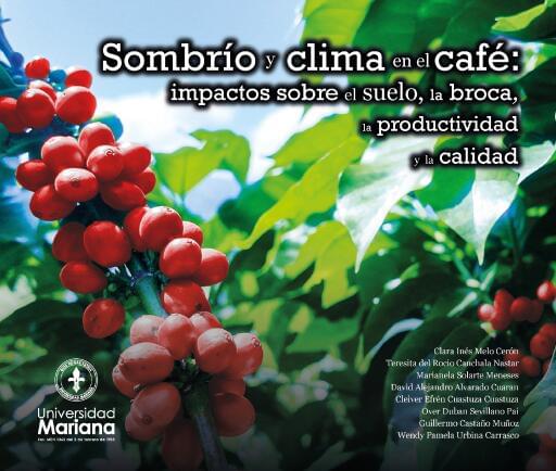Sombrío y clima en el café: impactos sobre el suelo, la broca, la productividad y la calidad