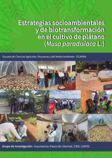 Estrategias socioambientales y de biotransformación en el cultivo de plátano (Musa paradisiaca l.)