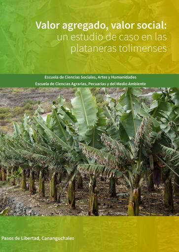 Portada del libro «Valor agregado, valor social: un estudio de caso en las plataneras tolimenses», de Jeisson Tobías Rengifo Cuervo, Shyrley Rocío Vargas Paredes
